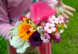 Blumenwiese-03